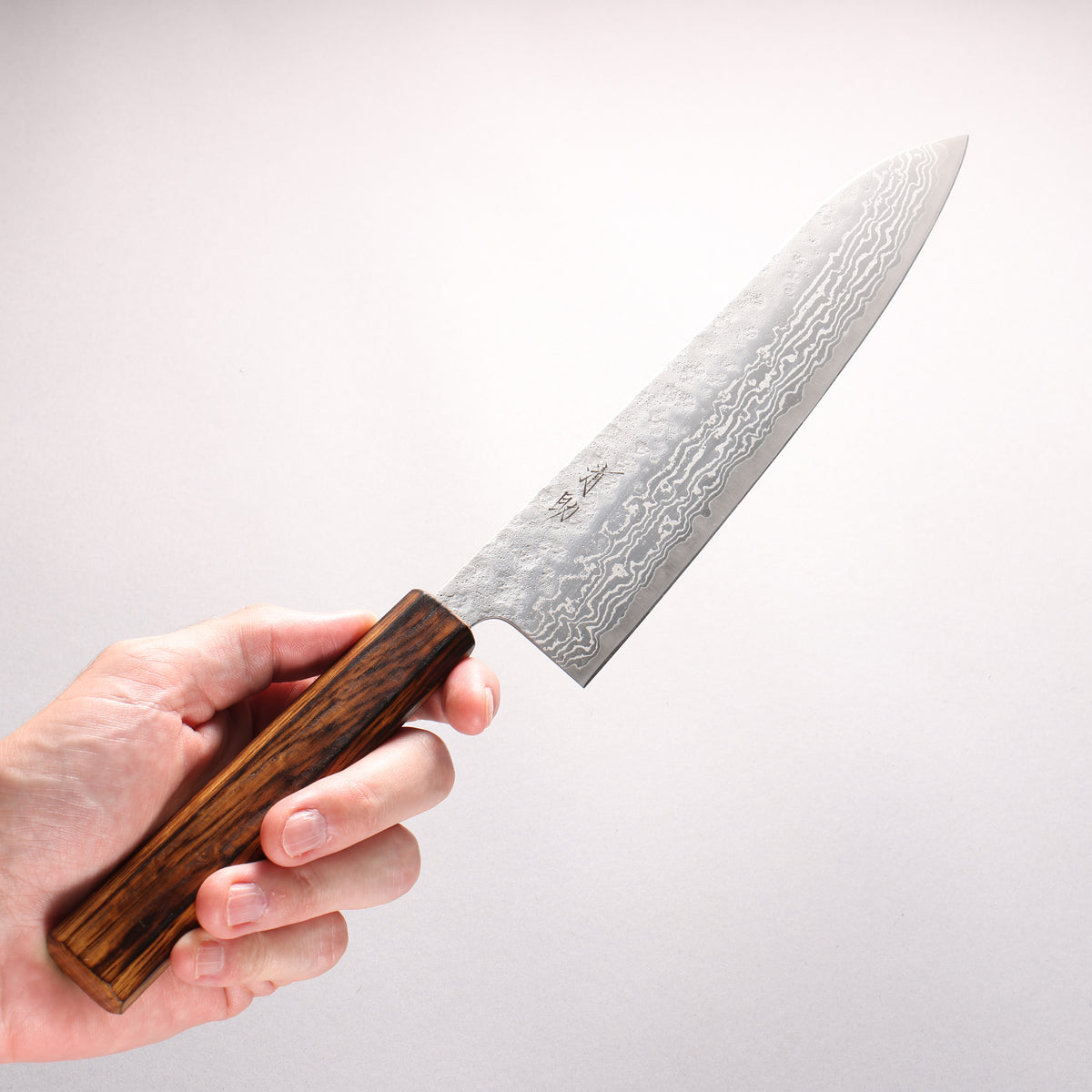 Seisuke Stainless Steel 440C Hammered Damascus Matte Gyuto 240mm Burnt Oak Handle - Japanny - Best Japanese Knife