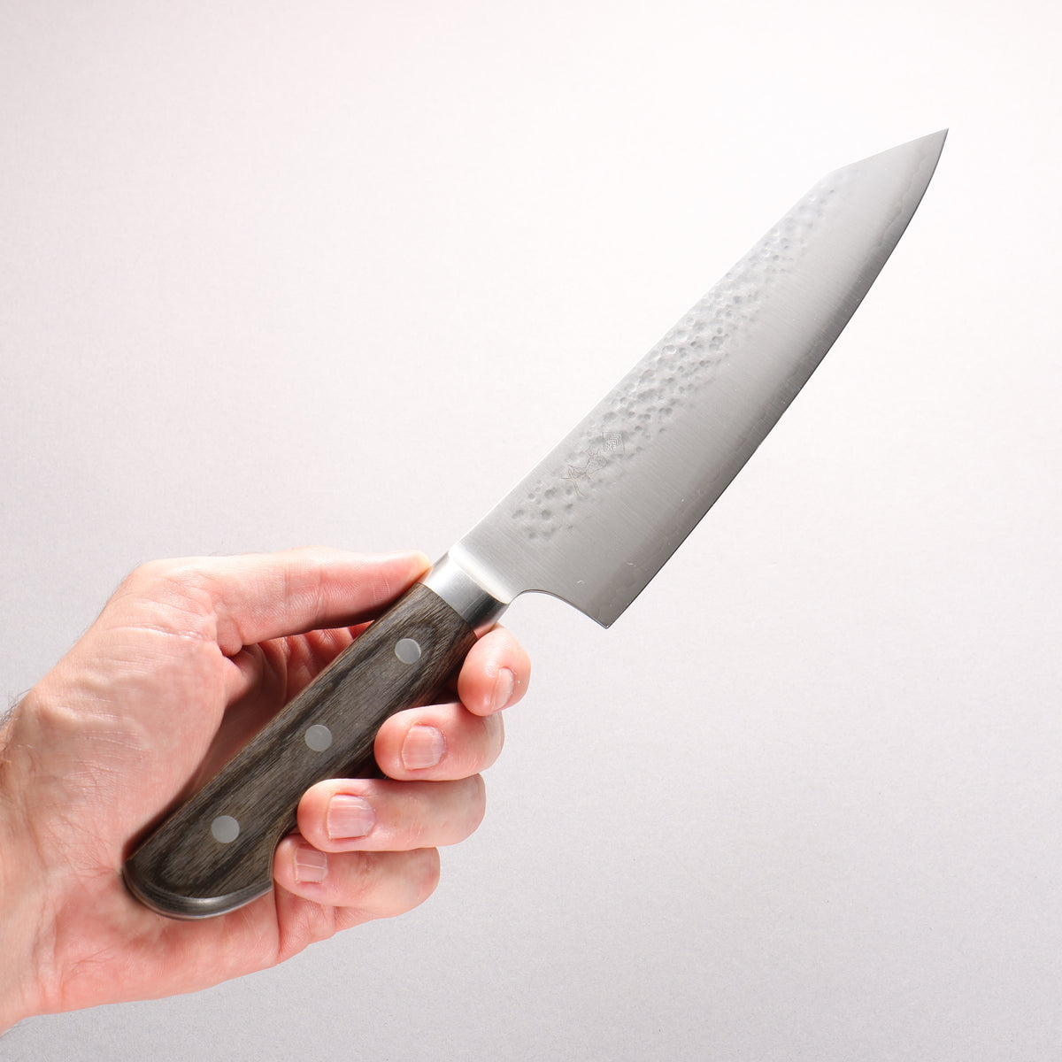 Kanjyo SG2 Hammered Kiritsuke Gyuto 210mm Gray Pakka wood Handle - Japanny - Best Japanese Knife