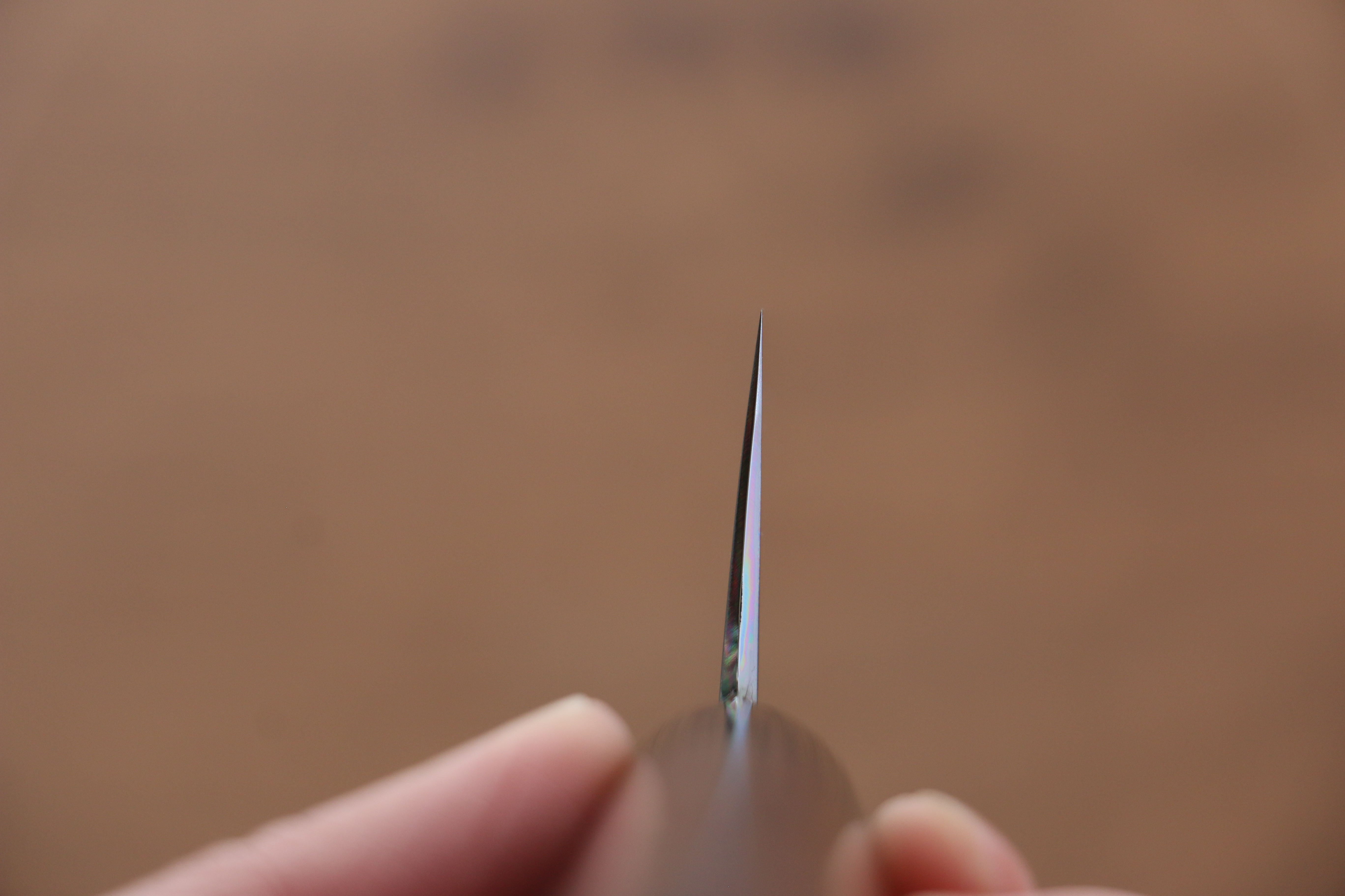 Jikko White Steel No.2 Gyuto  210mm Shitan Handle - Japanny - Best Japanese Knife