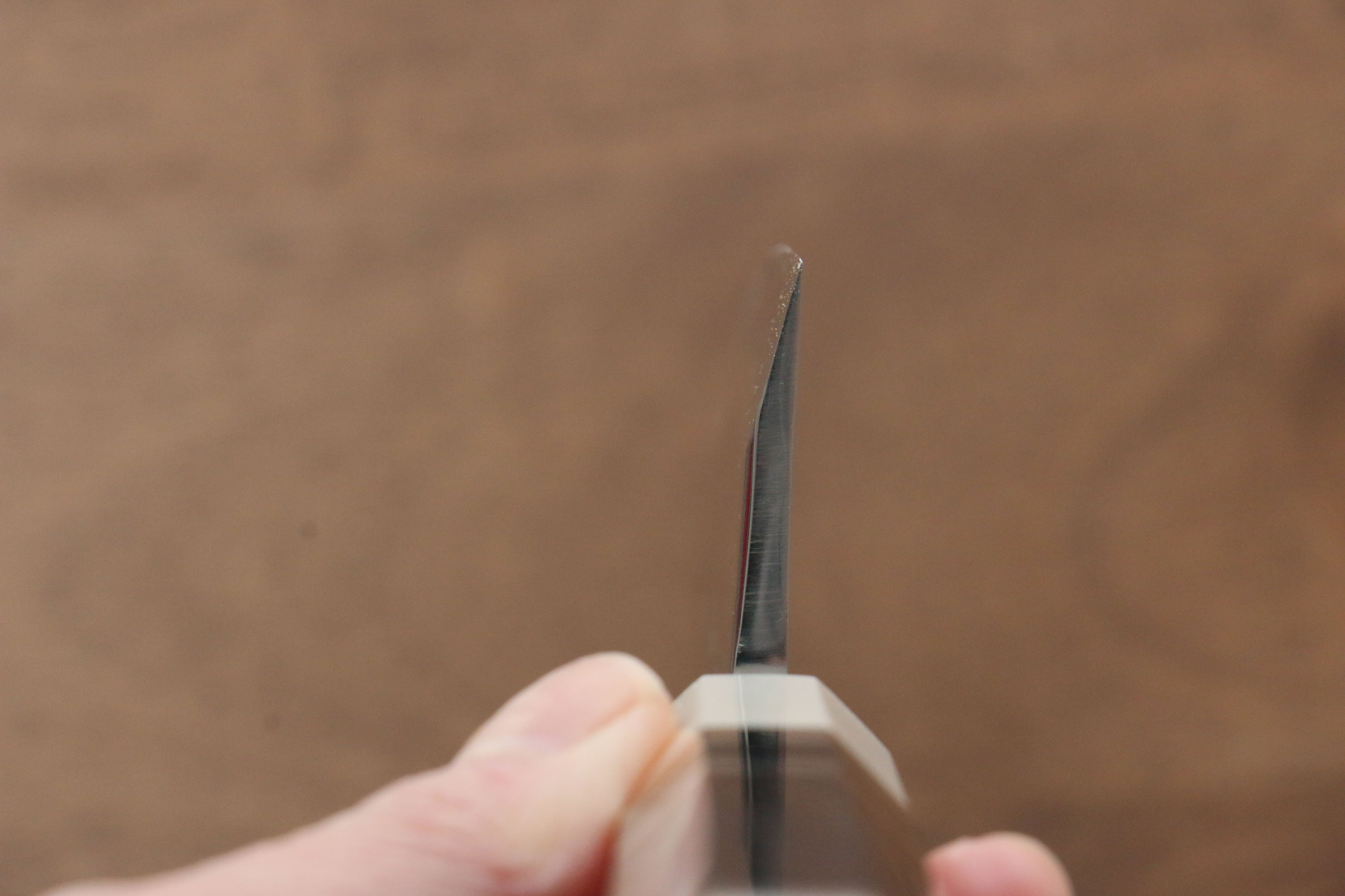 Jikko Shiko Blue Steel Kiritsuke Deba  120mm Ebony with Double Ring Handle - Japanny - Best Japanese Knife