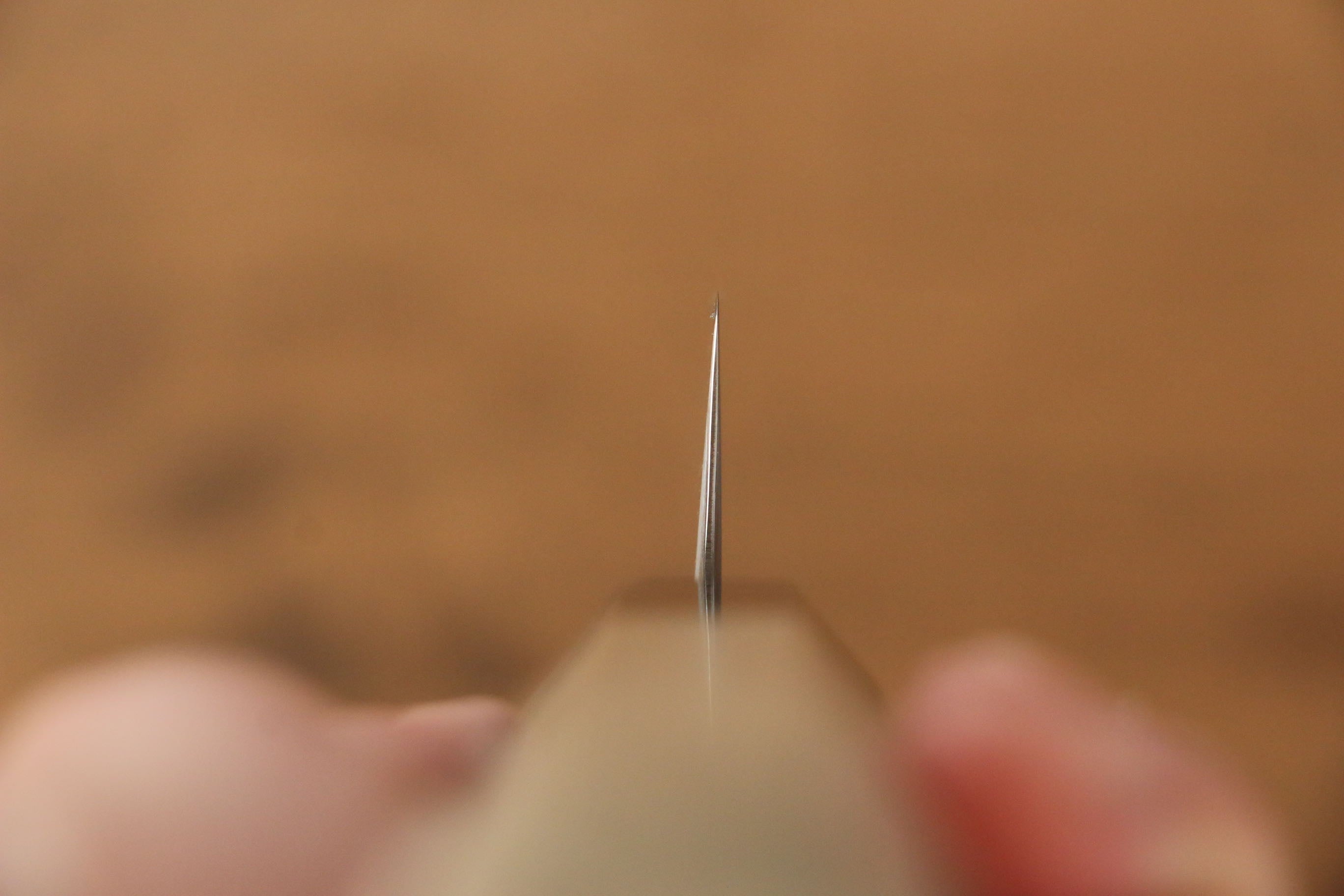 Jikko SG2 Sujihiki  240mm Magnolia Handle - Japanny - Best Japanese Knife