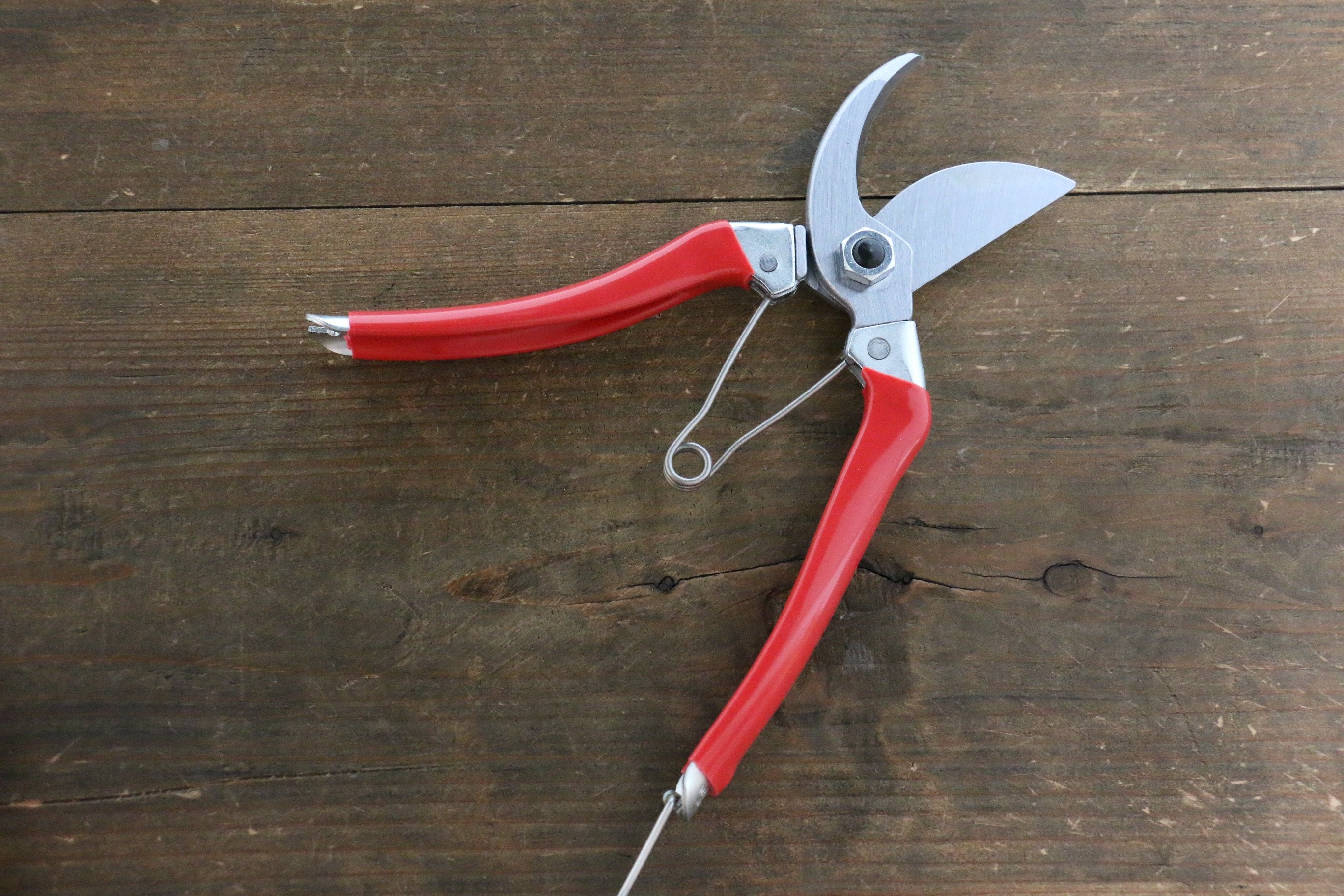 ARS Pruning Shears 120S-8 - Japanny - Best Japanese Knife