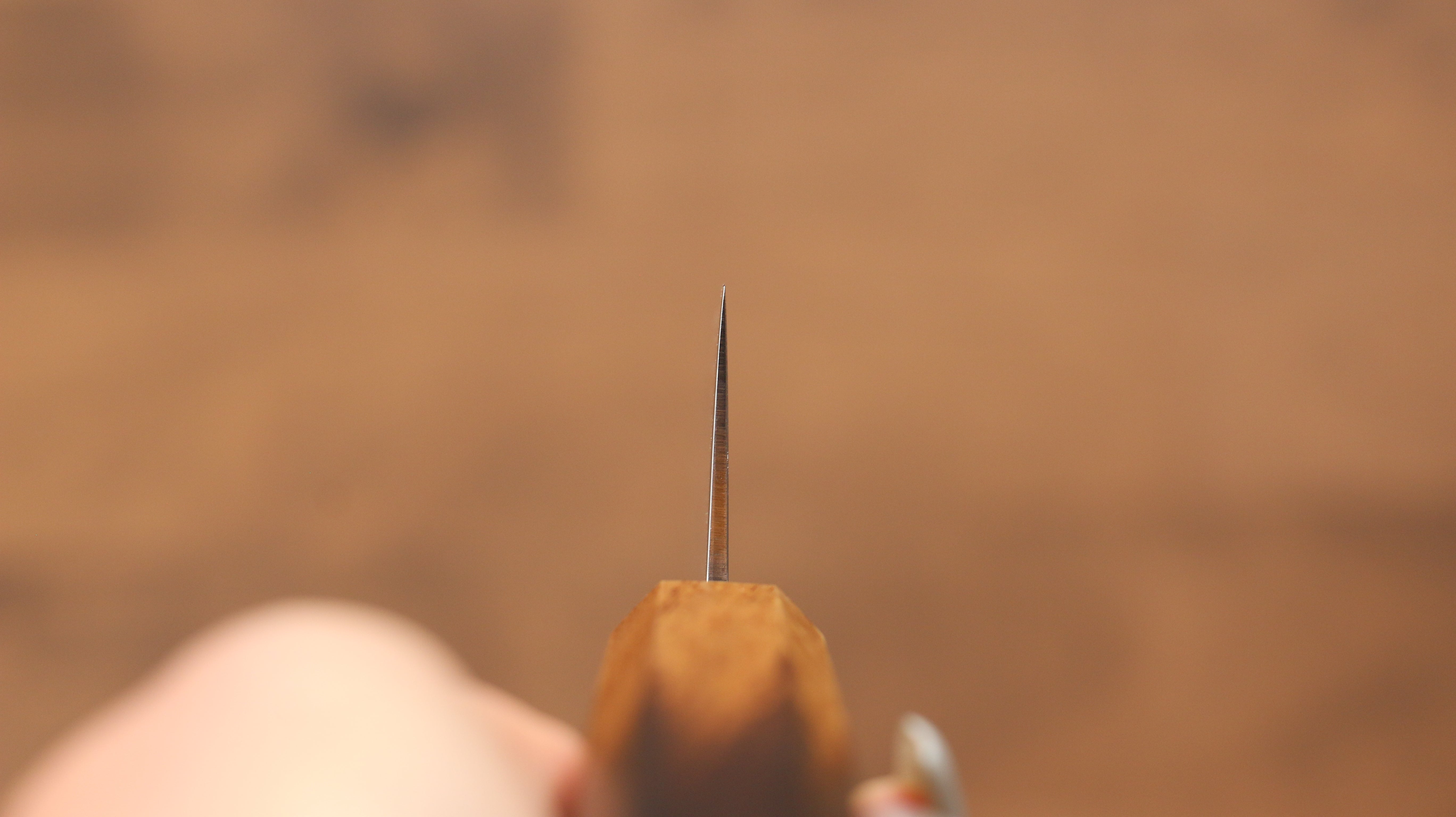 Kajin Cobalt Special Steel Damascus Gyuto 210mm Burnt Oak (Mehakkaku) Handle - Japanny - Best Japanese Knife