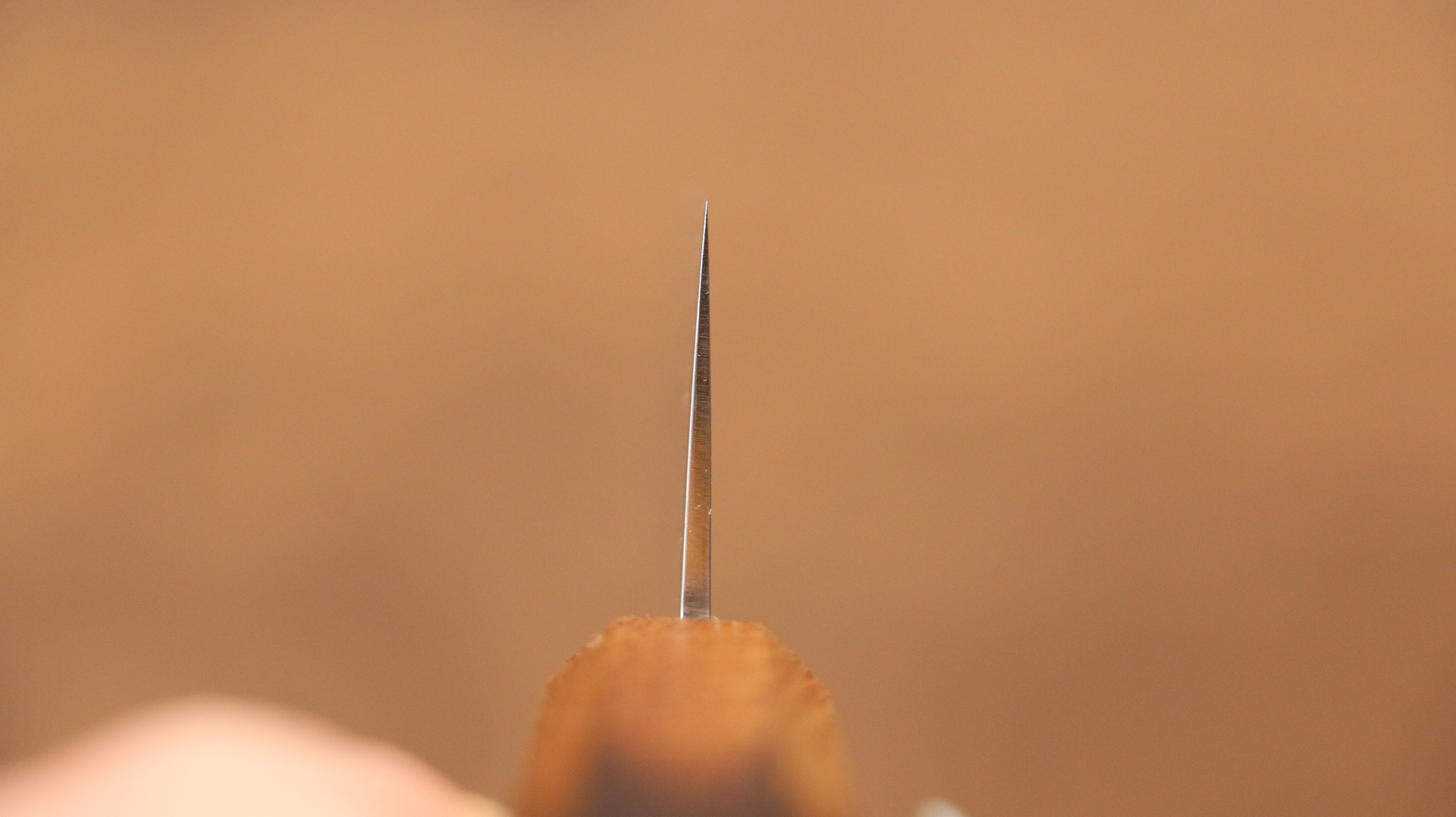 Kajin Cobalt Special Steel Damascus Gyuto 240mm Burnt Oak (Mehakkaku) Handle - Japanny - Best Japanese Knife