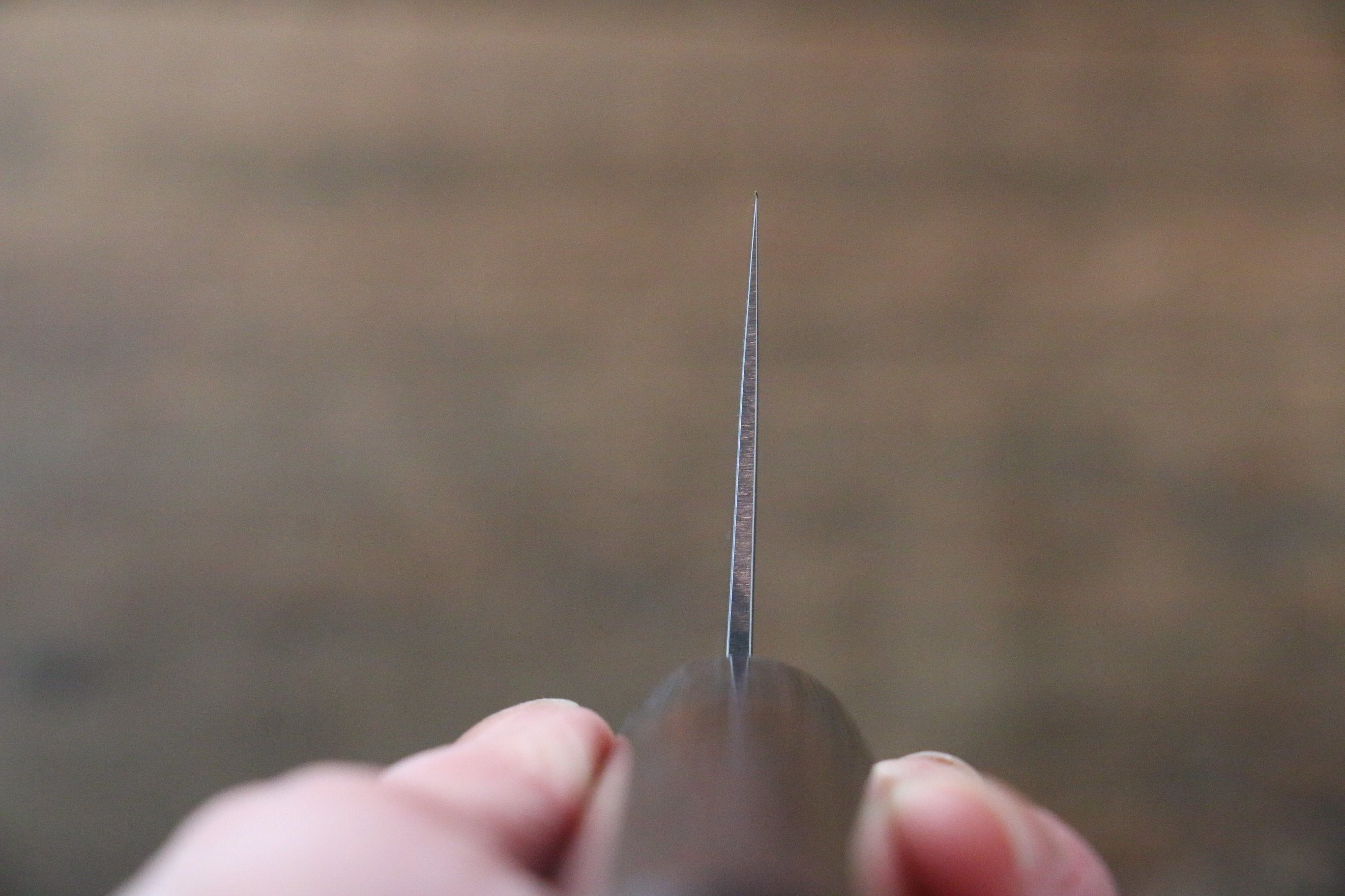 Seisuke VG10 63Layer Damascus Santoku 165mm & Gyuto 210mm Japanese Chef Knife Set - Japanny - Best Japanese Knife