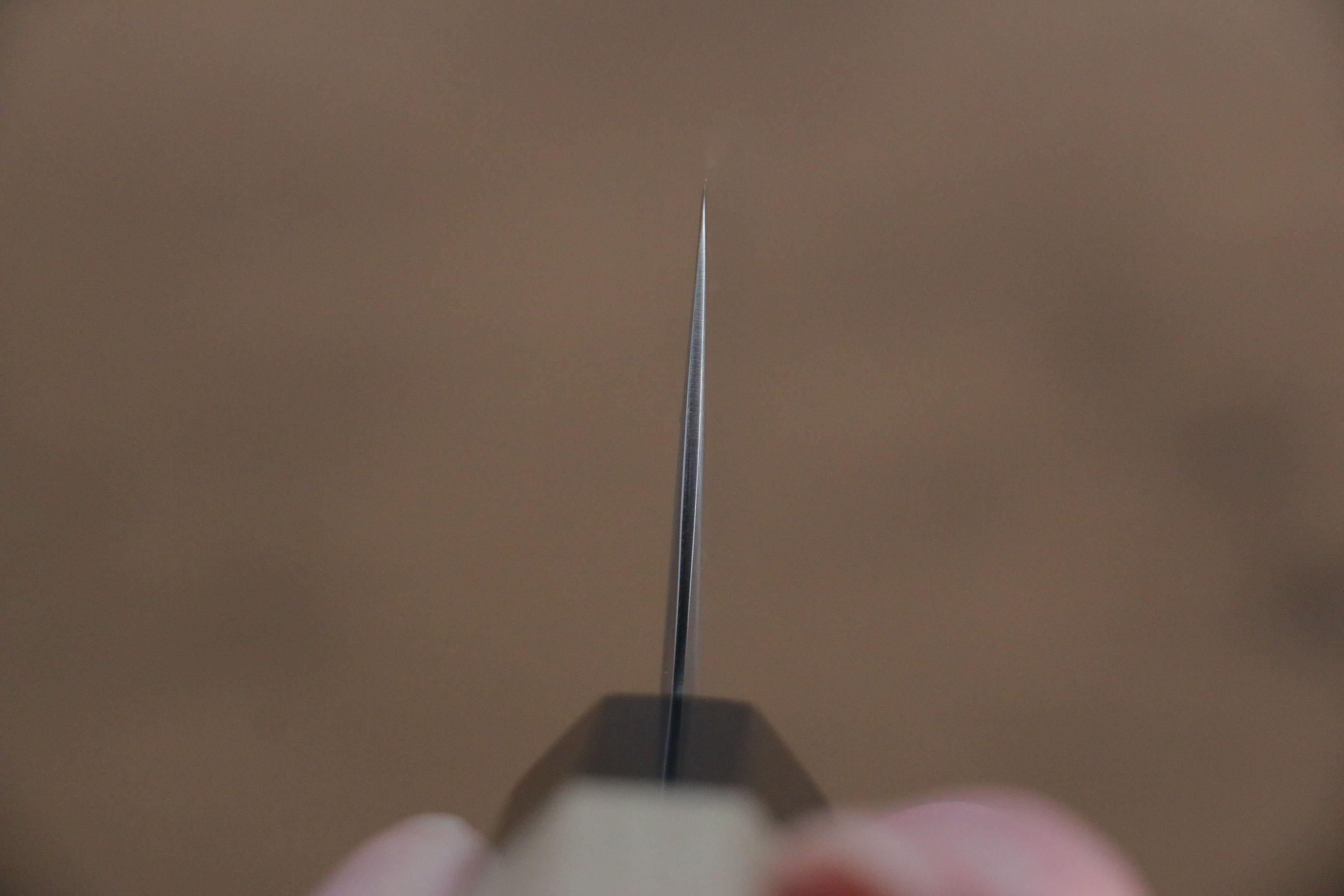 Jikko SG2 Kiritsuke Santoku  155mm Magnolia Handle - Japanny - Best Japanese Knife