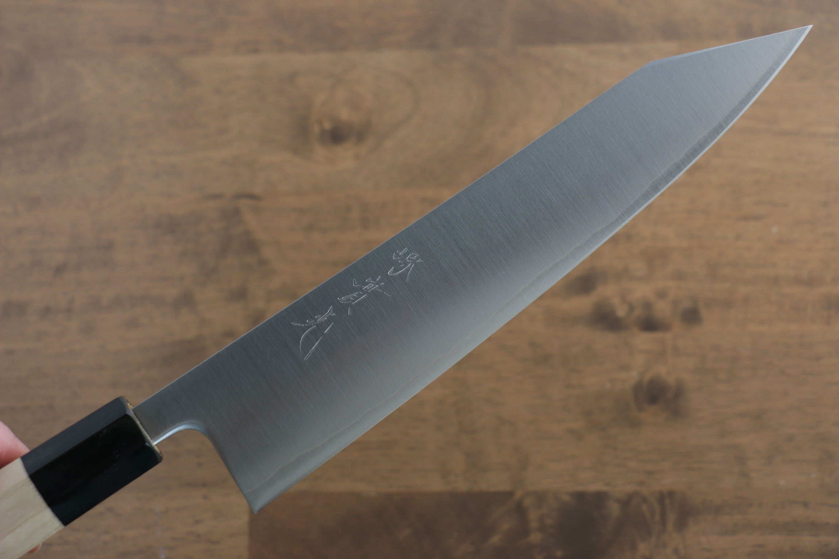 Jikko SG2 Kiritsuke Gyuto  230mm Magnolia Handle - Japanny - Best Japanese Knife