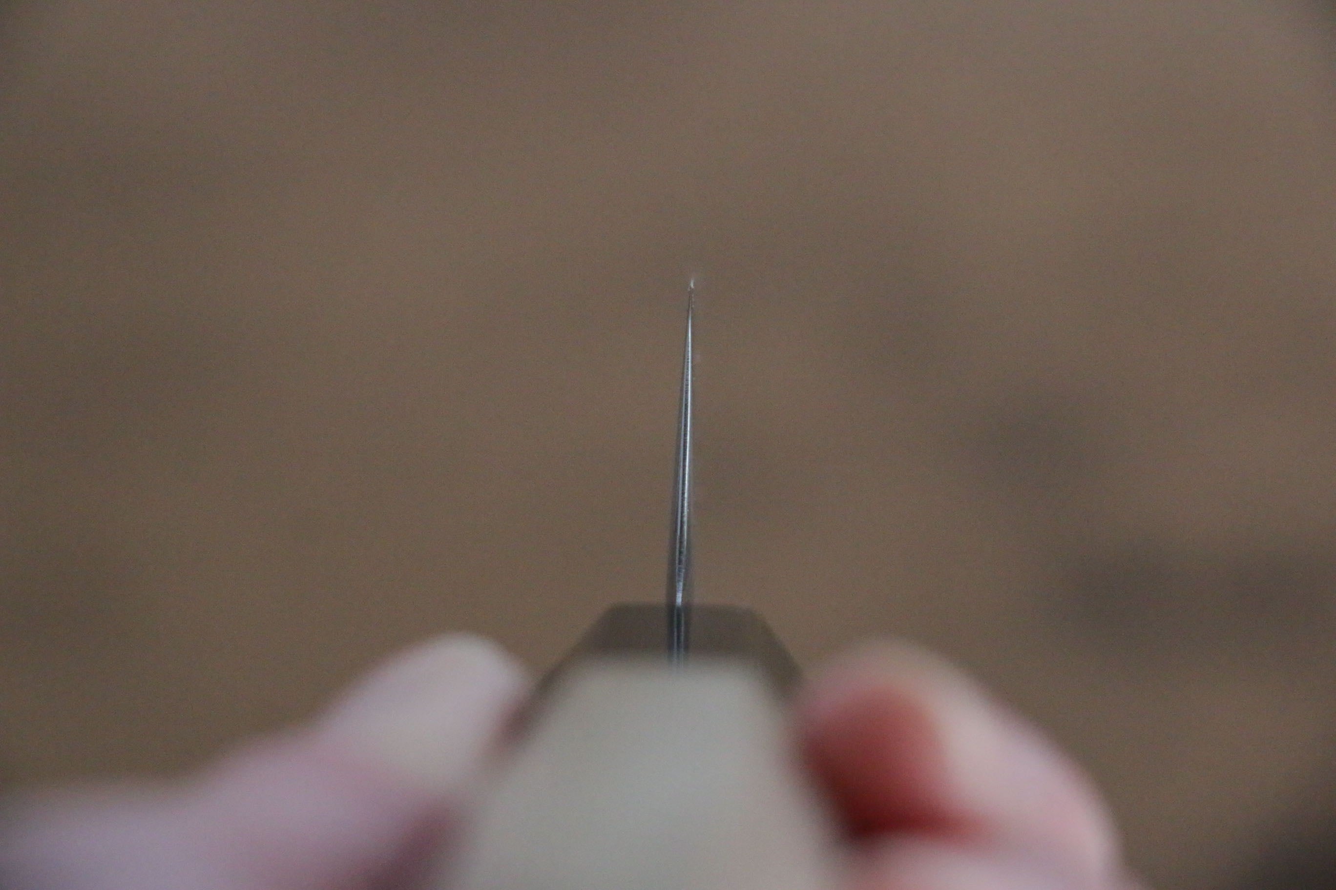 Jikko SG2 Kiritsuke Sujihiki  230mm Magnolia Handle - Japanny - Best Japanese Knife