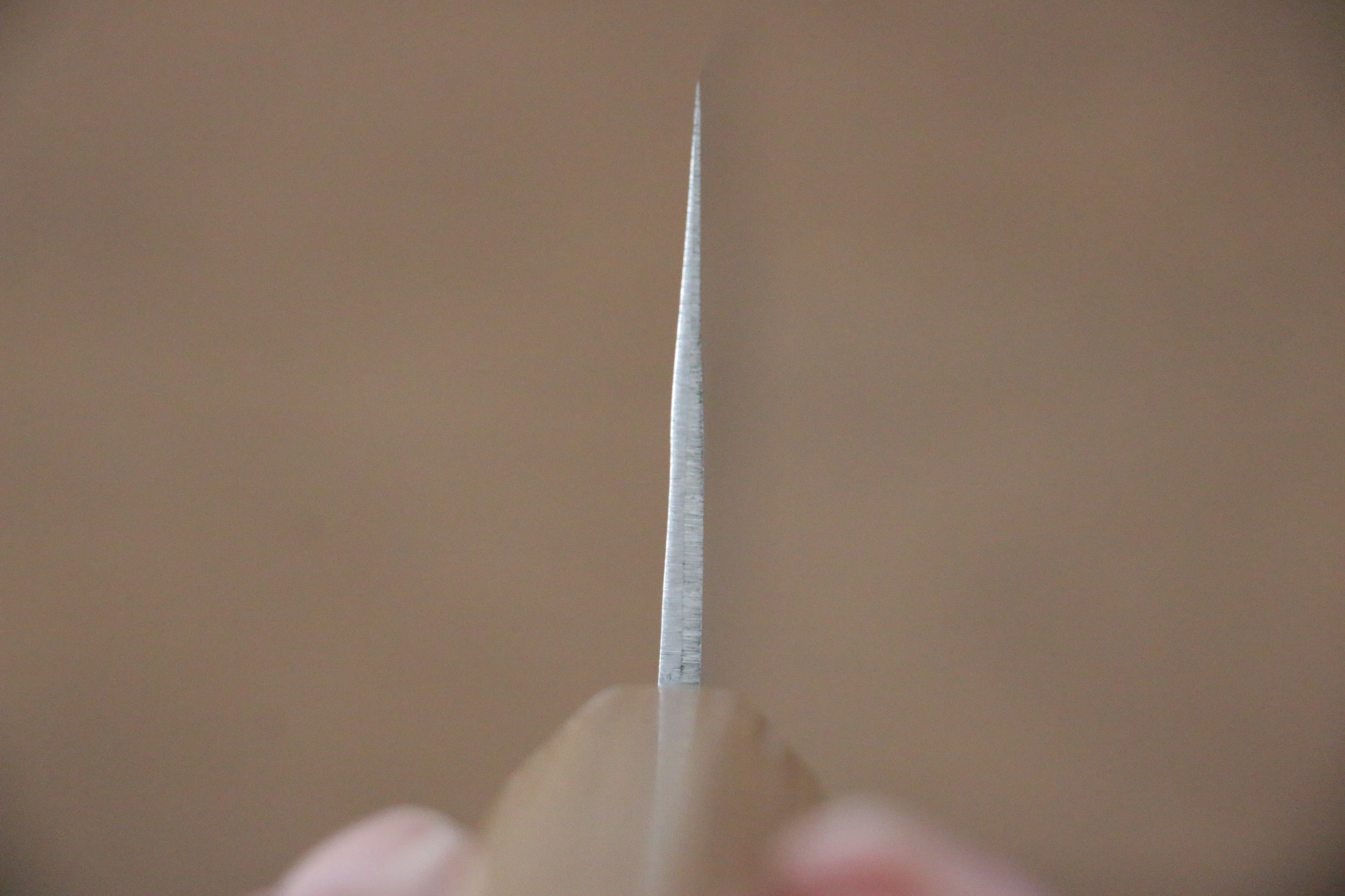 Kunihira VG1 Hammered Nakiri 165mm Enju Handle - Japanny - Best Japanese Knife