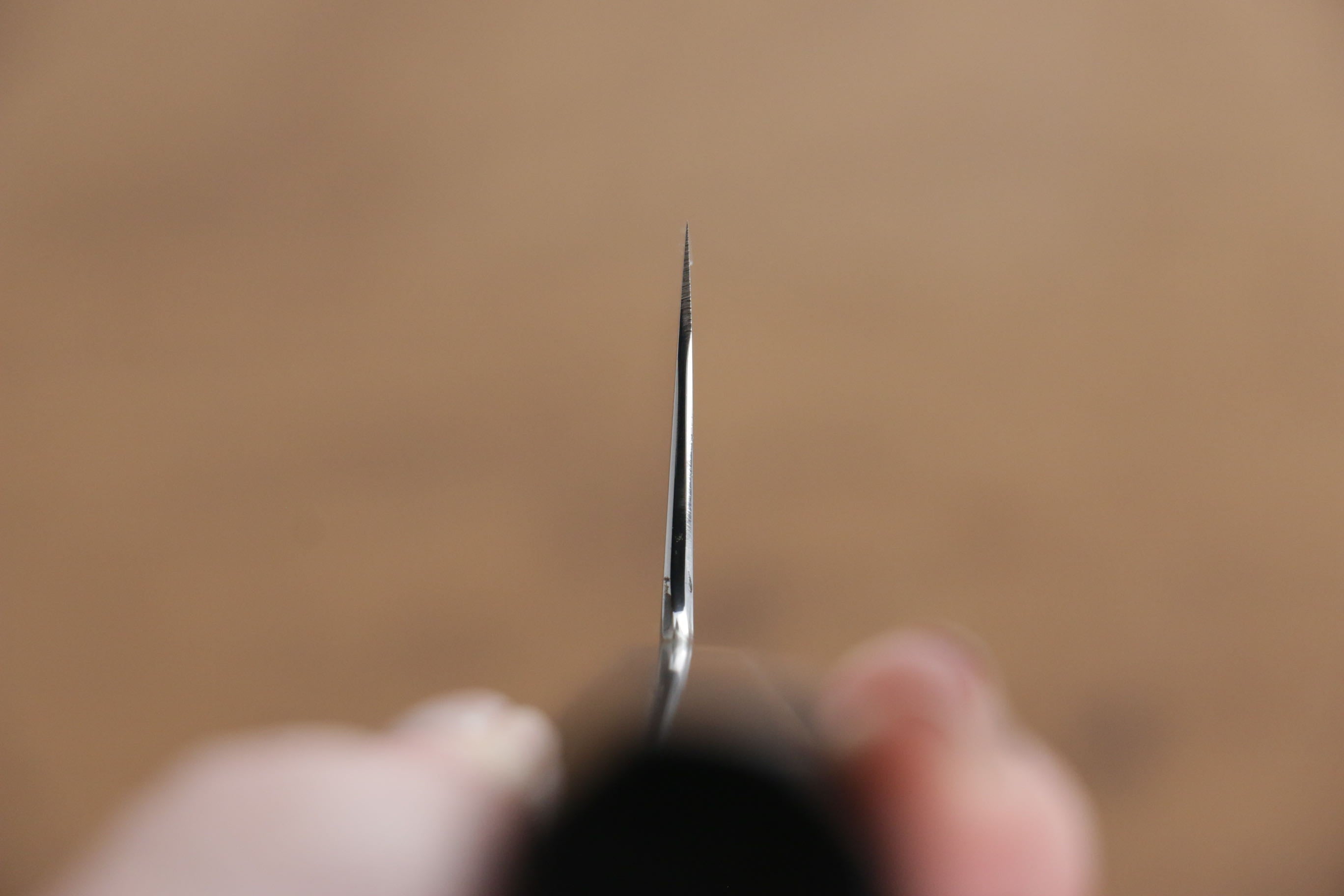 Jikko Honyaki White Steel No.3 Mirrored Finish Kiritsuke Gyuto  210mm Ebony Wood Handle - Japanny - Best Japanese Knife