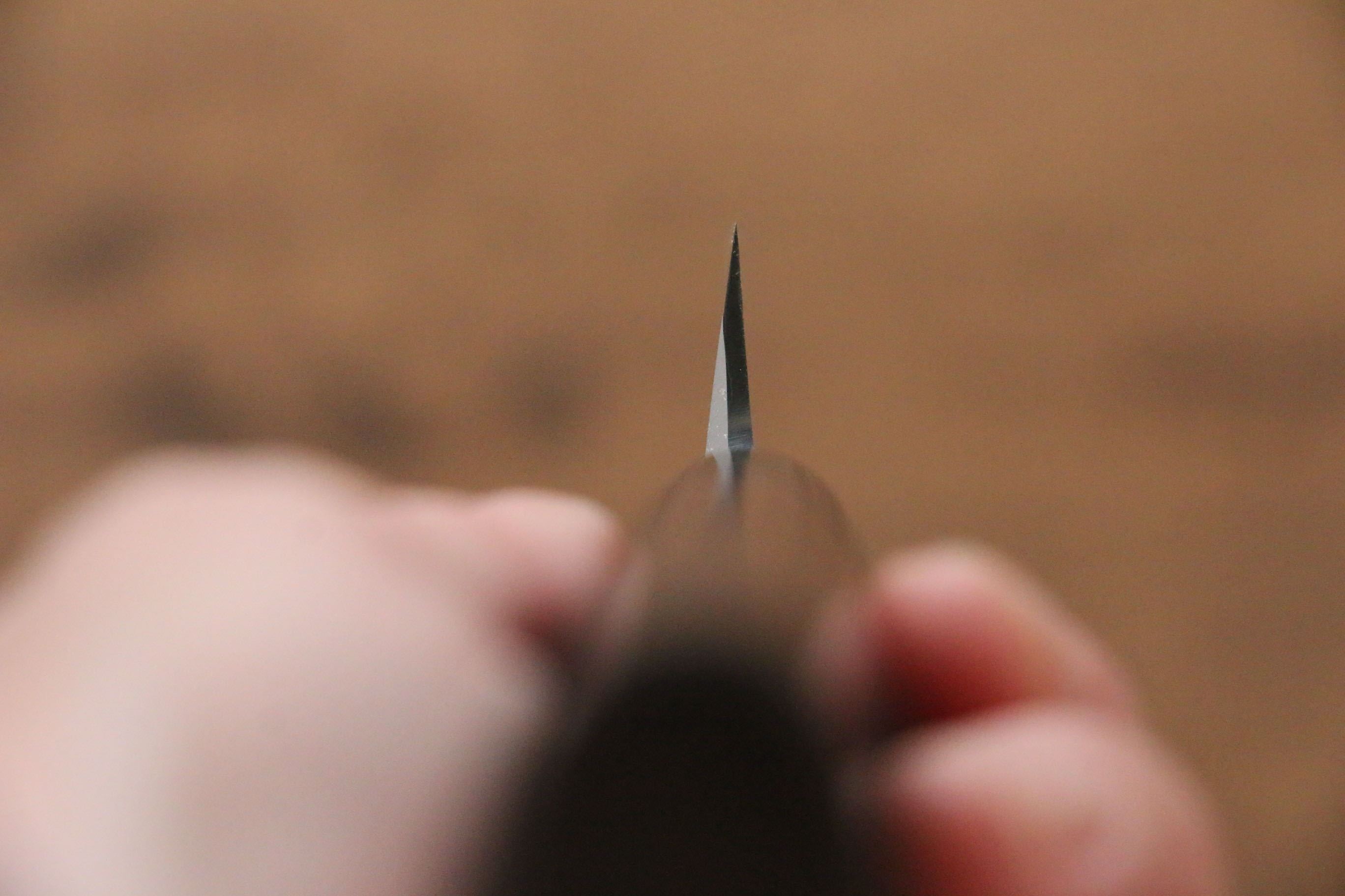 Jikko White Steel No.2 Yanagiba  210mm Shitan Handle - Japanny - Best Japanese Knife