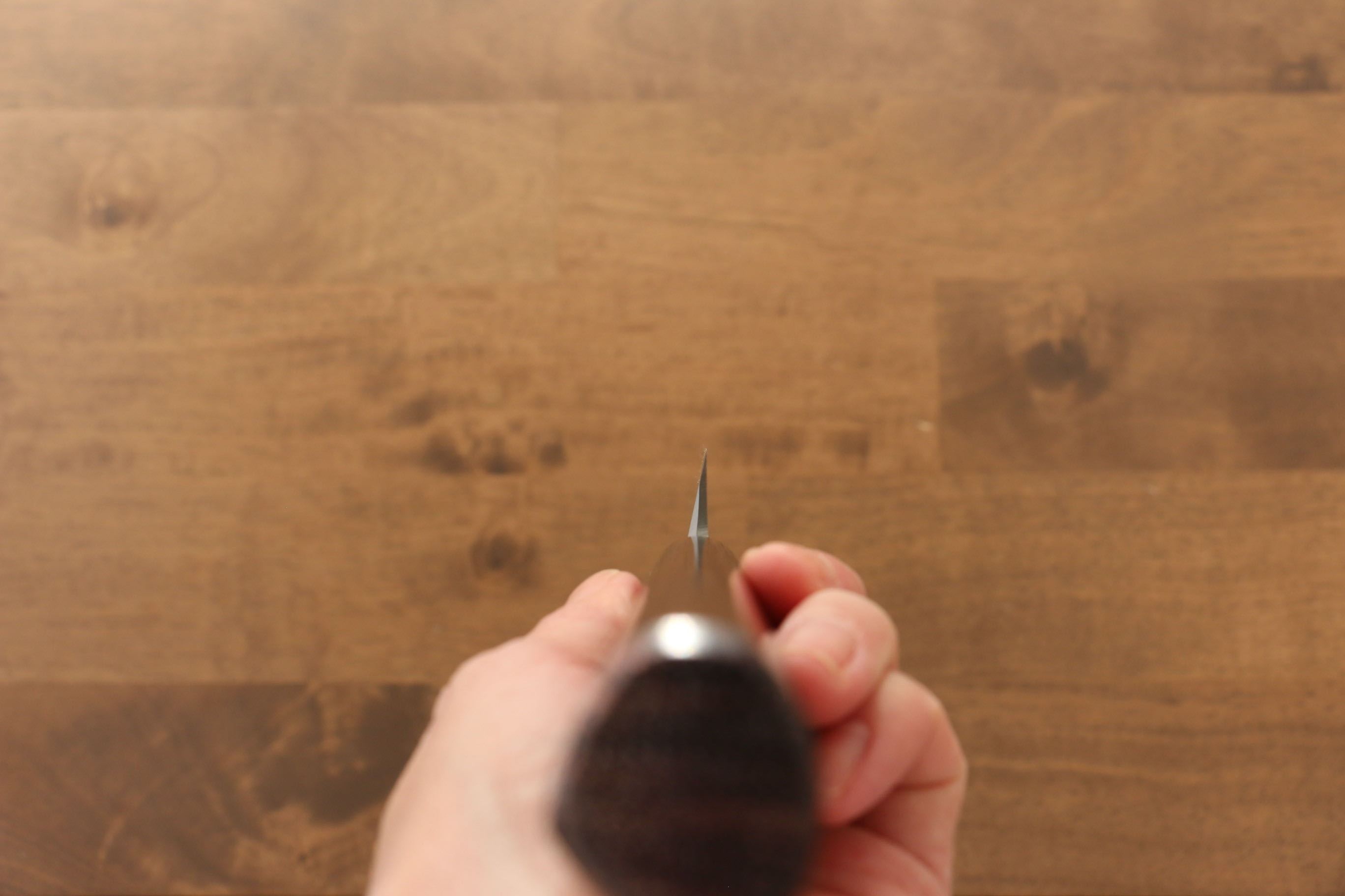 Jikko Silver Steel No.3 Yanagiba  270mm Shitan Handle - Japanny - Best Japanese Knife