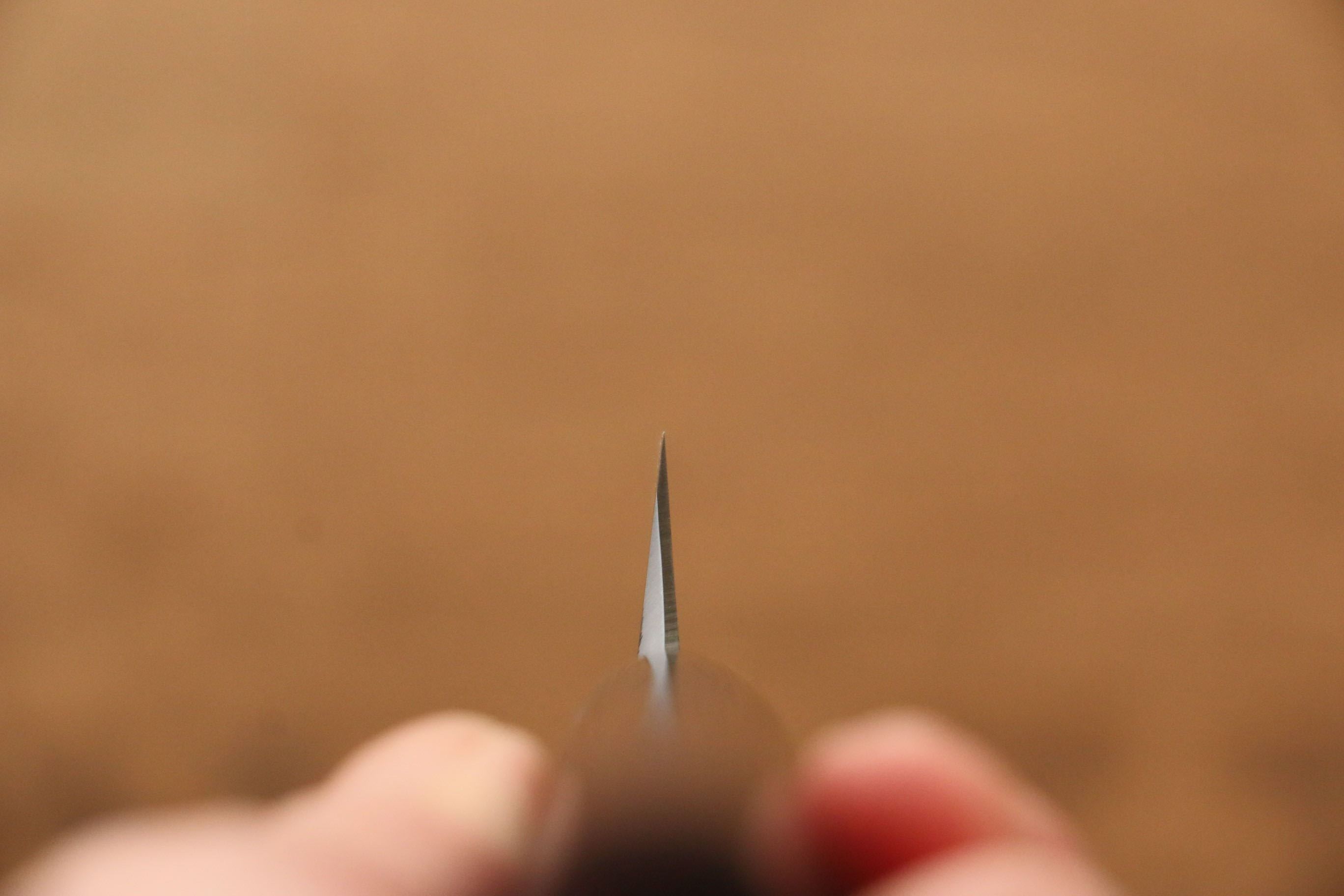 Jikko Silver Steel No.3 Yanagiba  210mm Shitan Handle - Japanny - Best Japanese Knife