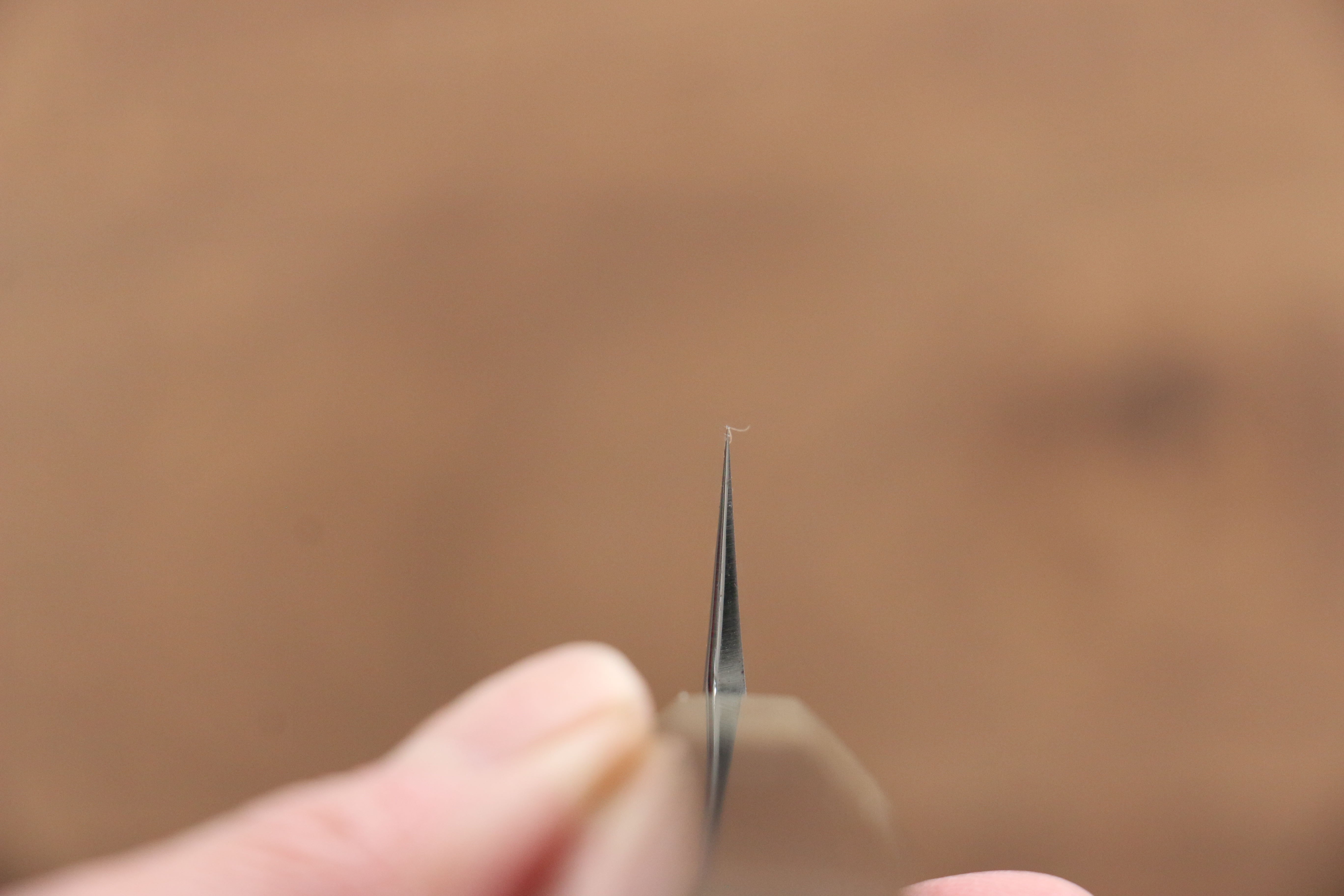 Jikko Shiko White Steel Sakimaru Yanagiba  240mm Ebony with Double Ring Handle - Japanny - Best Japanese Knife